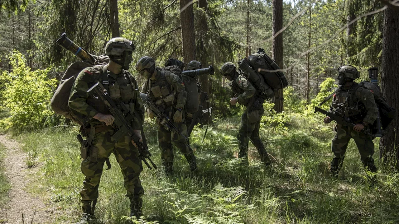 Kriegt Deutschland die Wehrpflicht wie in Schweden?