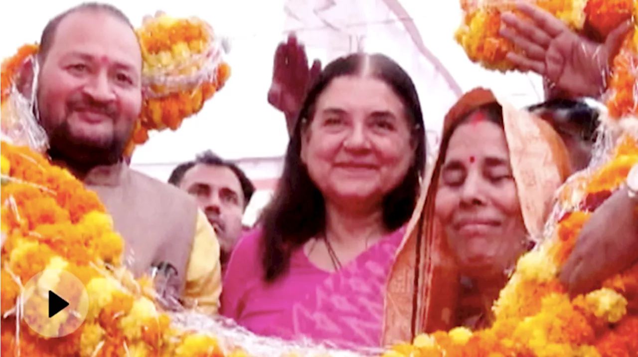 Lok Sabha Election 2024: Varun Gandhi से किनारा लेकिन Maneka Gandhi को 9वीं बार BJP का सहारा