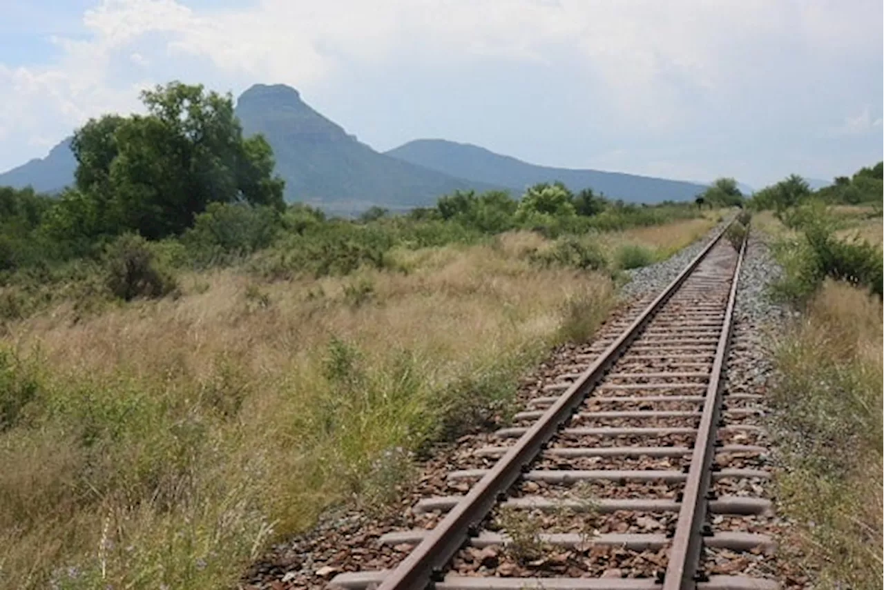  Private rail operators in SA need these changes to Transnet policy