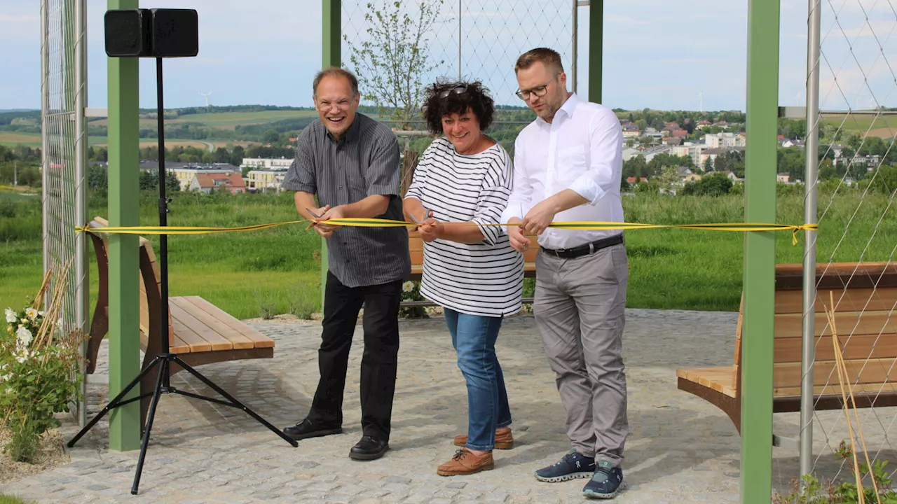 Ein Baumkreis als Zeichen des Friedens