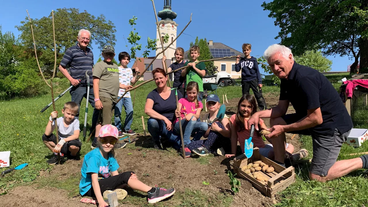 Tischlerei Krumböck Kleine „GartenHelden“ legten Gemüsegarten an