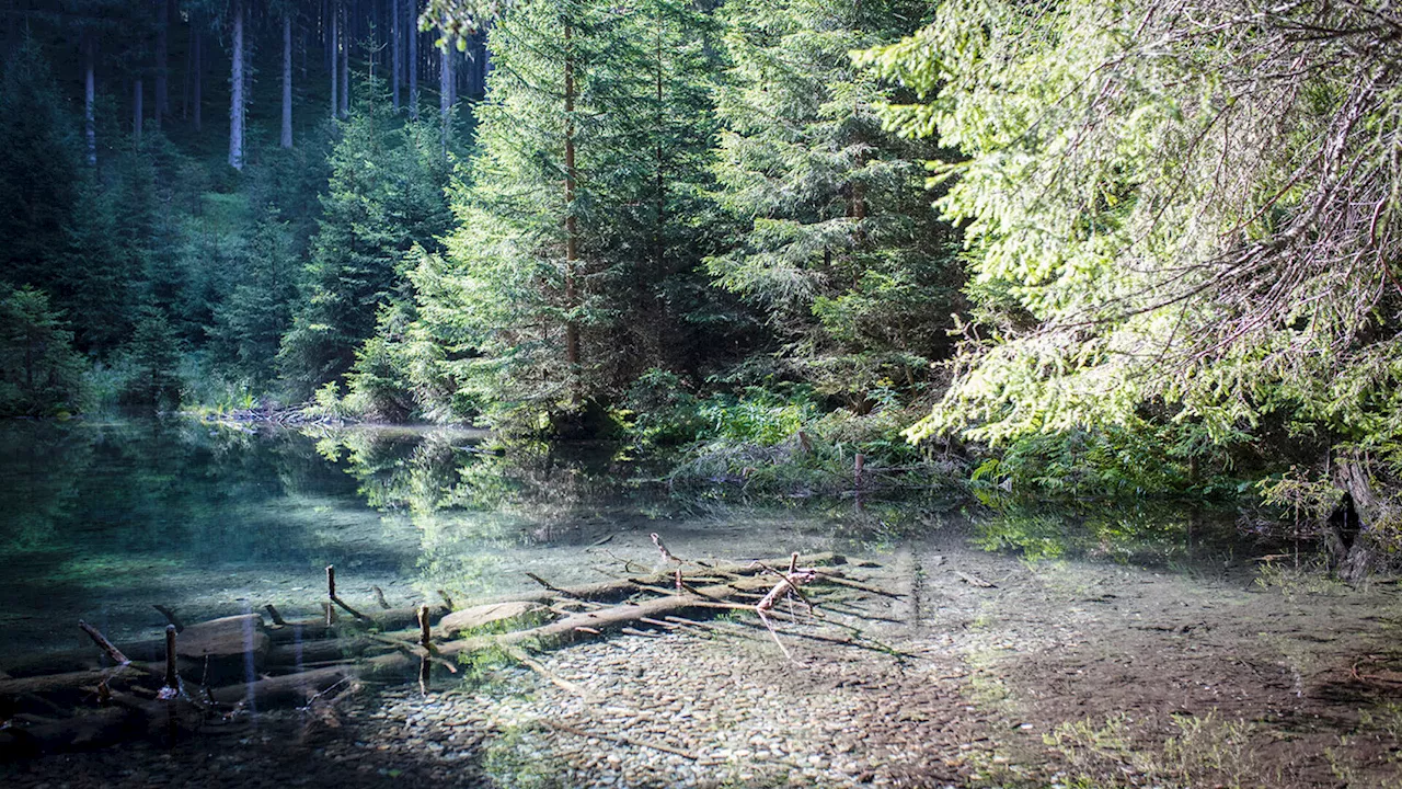 Sommer im malerischen Rauristal