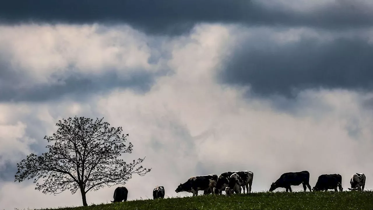 Nordrhein-Westfalen: Mal Sonne, Schauer und Gewitter - wechselhafter Wochenbeginn