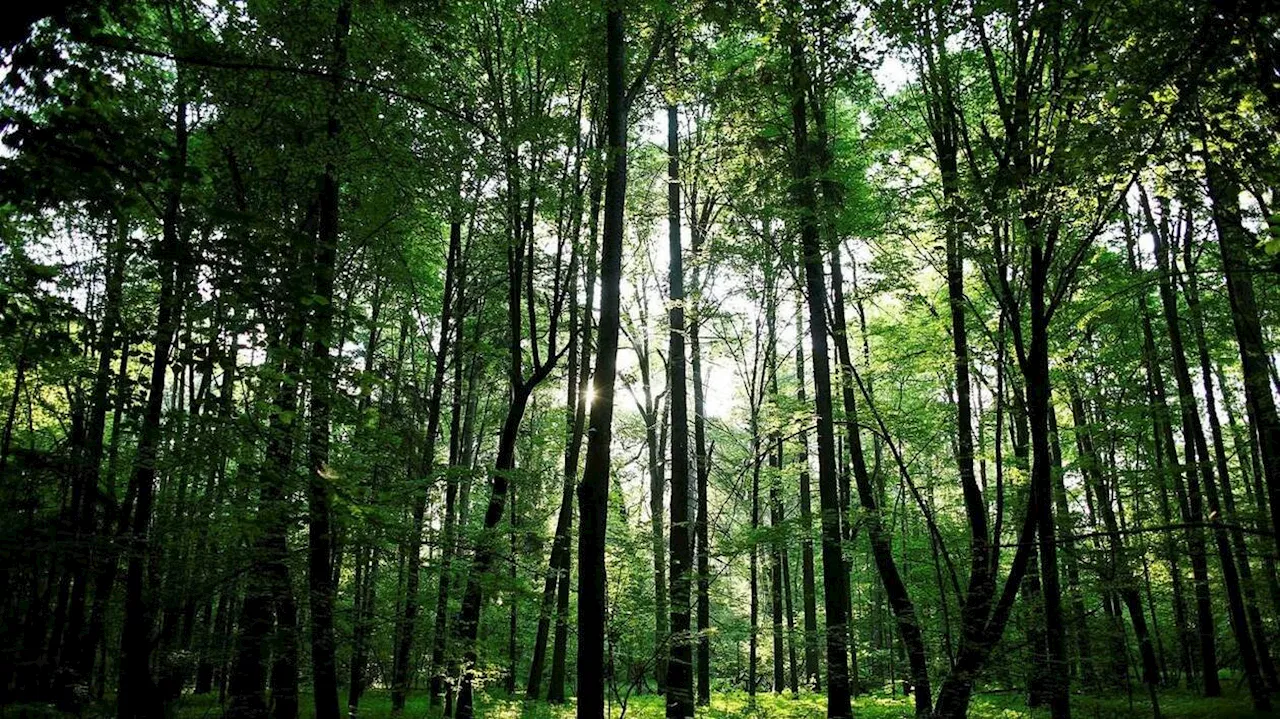 Une conférence-débat autour du climat se tiendra à l’Agora, à Granville