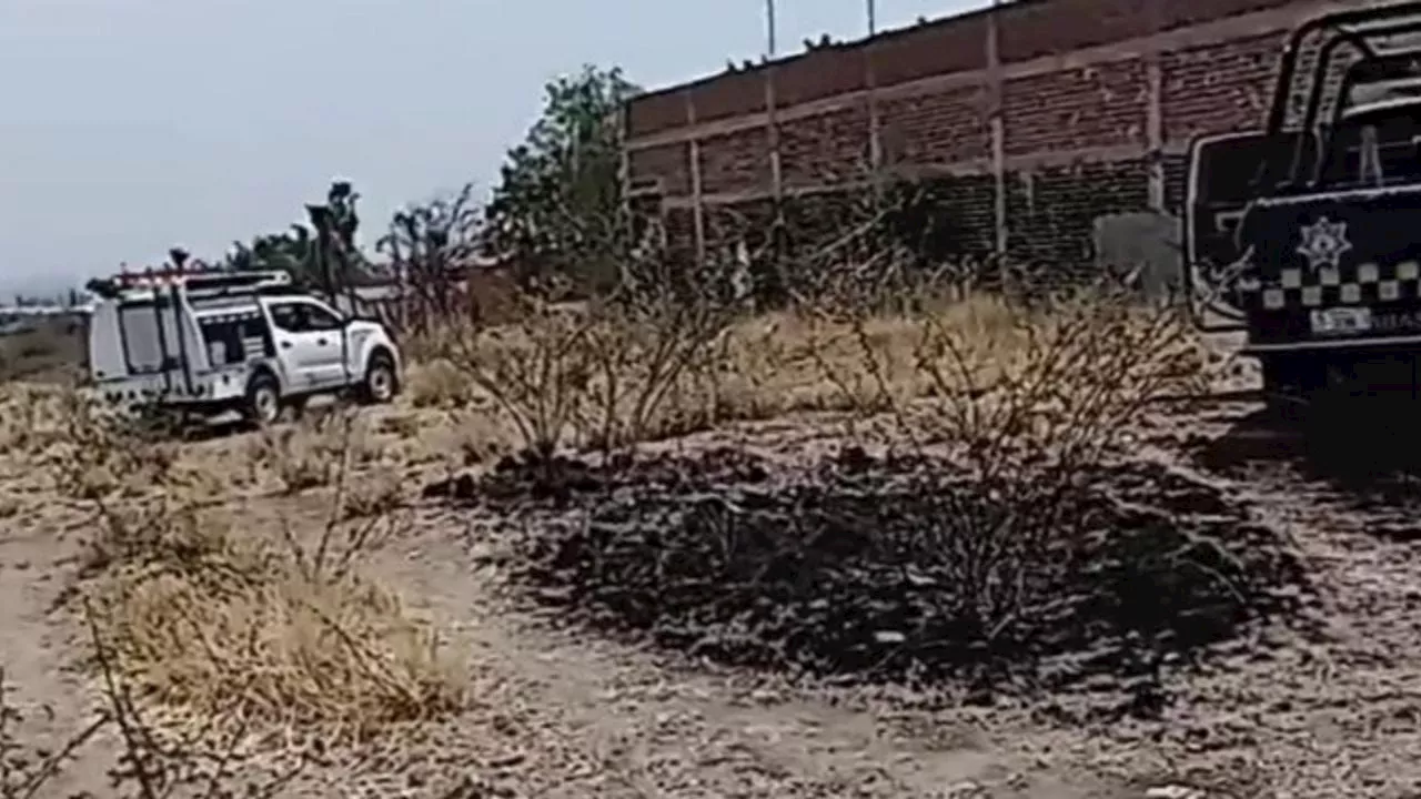 Madres buscadoras descubren restos humanos en fosa clandestina de Guanajuato