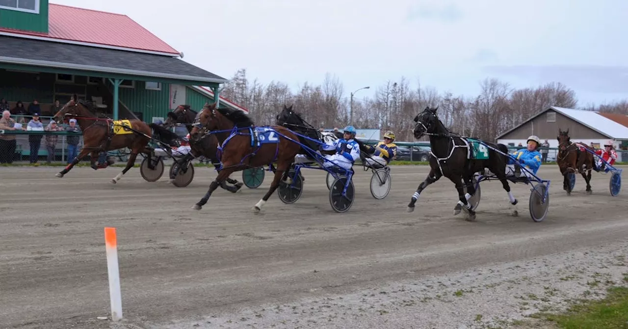 HARNESS RACING: Runaway Mystery upset winner as Northside Downs opens for 2024 season