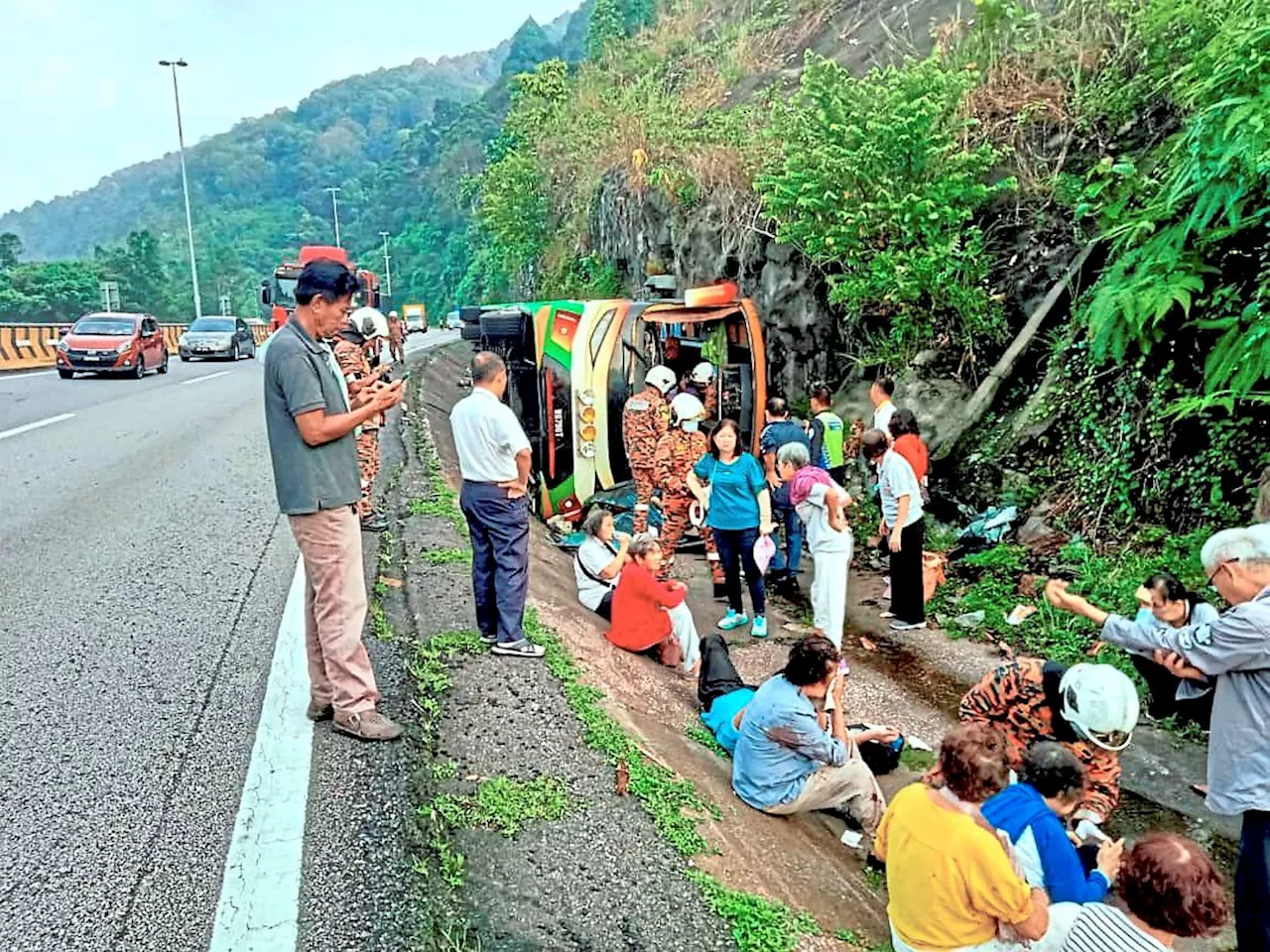 Passengers safe after bus plunges into ditch