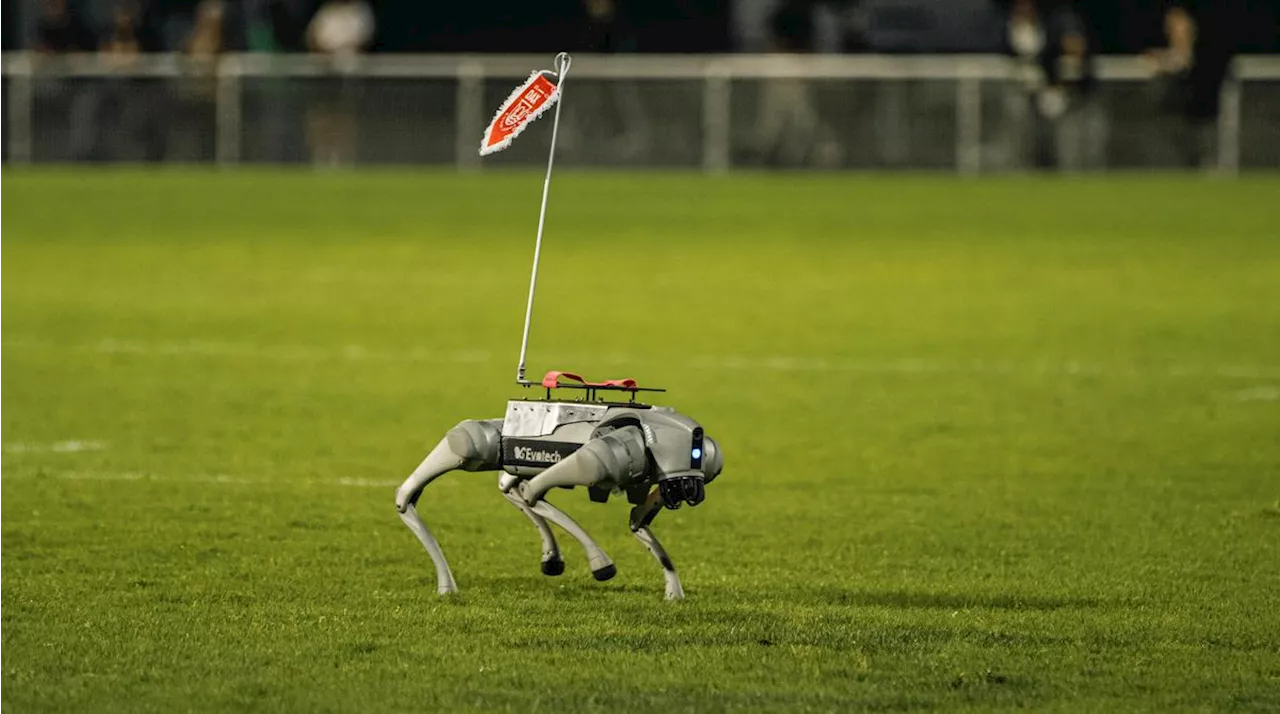 Jeux olympiques de Paris 2024 : des robots chiens landais accompagneront les démineurs dans leurs missions