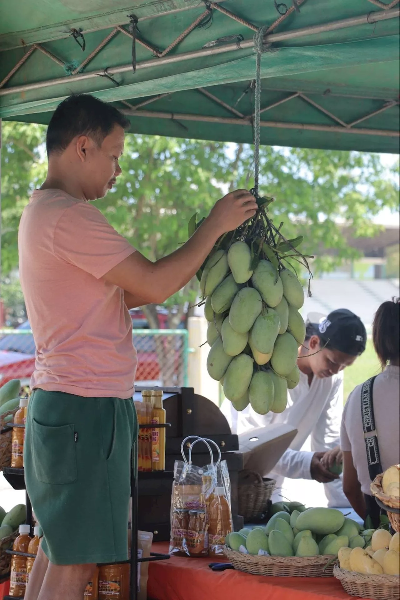 Mango Festival gibaha og tawo