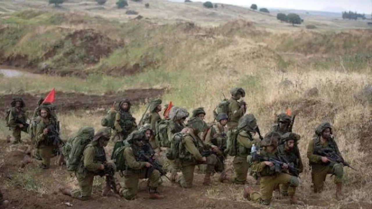 12 Tentara Israel di Gaza Disengat Kawanan Tawon, 1 Orang Butuh Perawatan Intensif