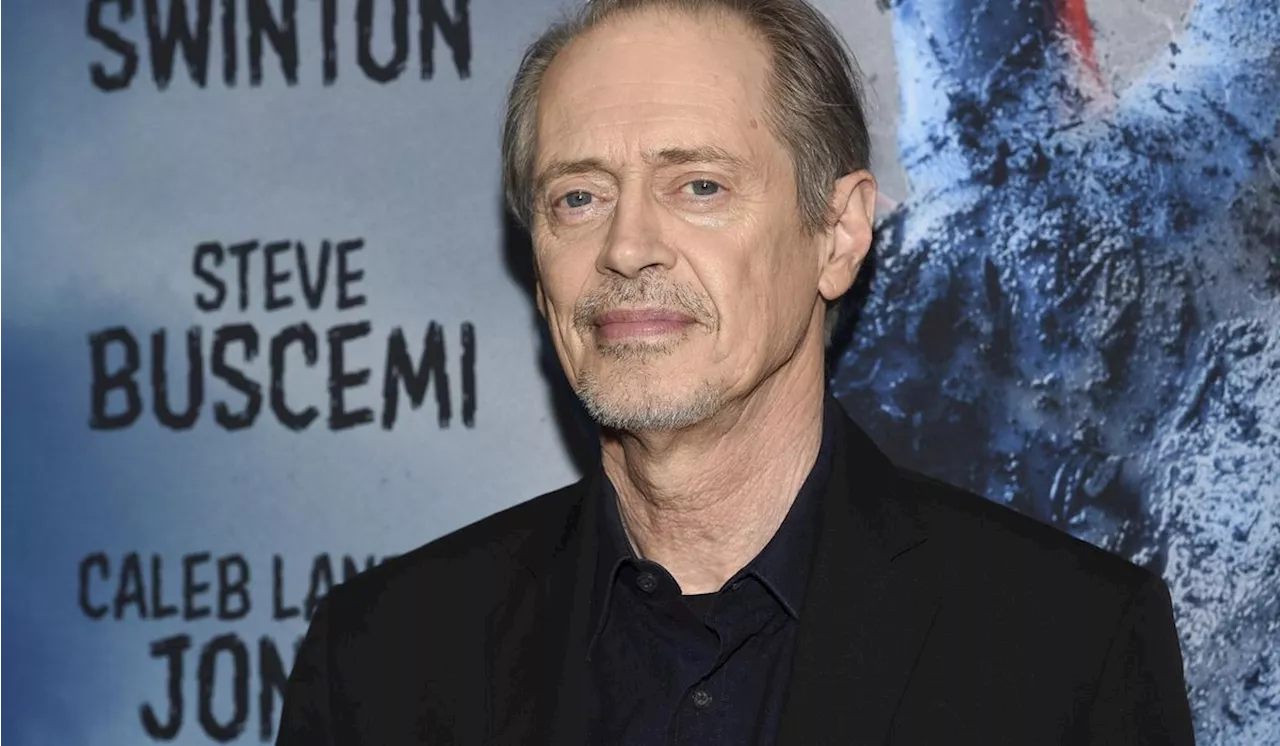 Steve Buscemi punched in the face in New York City