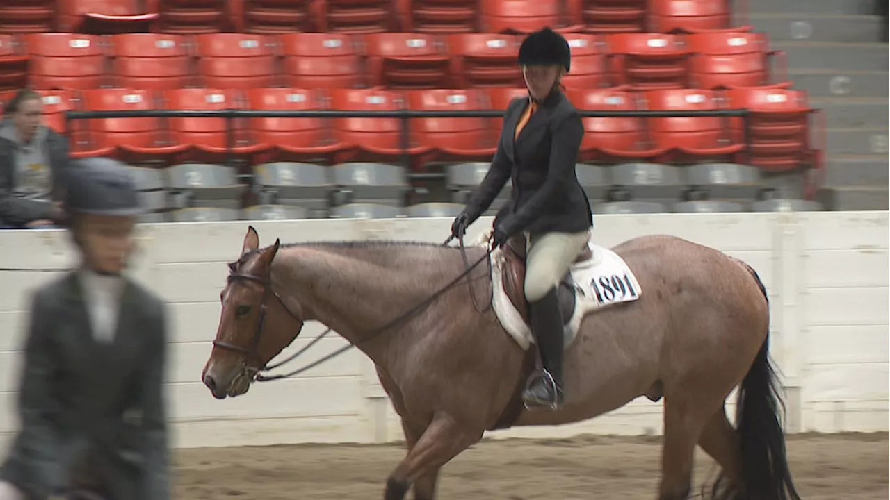 All American Youth Horse Show wraps up at Ohio Expo Center