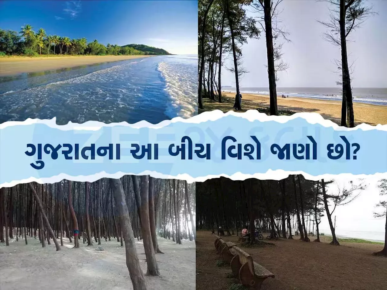 લક્ષદ્વીપ પછી જજો, પહેલા ગુજરાતના આ દરિયાની મજા ચોક્કસ માણજો! ભૂલી જશો તમામ બીચ, ઉનાળામાં ઠંડક એવી કે...