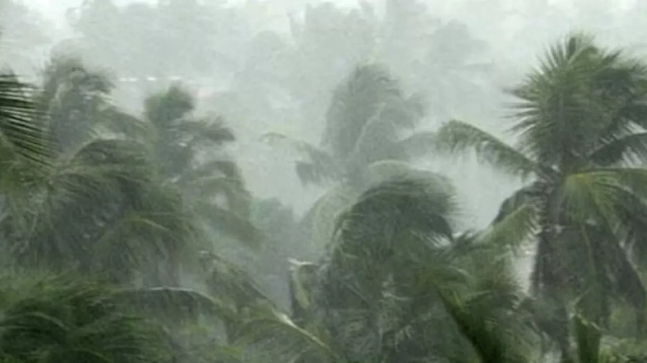 Kerala Rain Alert: സംസ്ഥാനത്ത് ശക്തമായ മഴയ്ക്ക് സാധ്യത; 5 ജില്ലകളിൽ യെല്ലോ അലർട്ട്