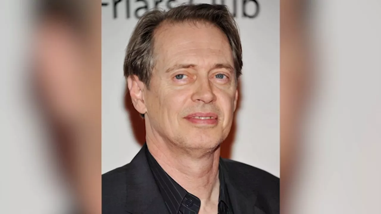 Actor Steve Buscemi punched in the face in random attack in Manhattan
