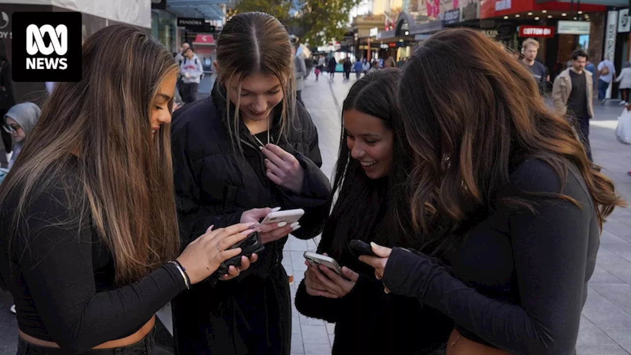 South Australia is pushing to ban social media access for children under 14, but how would a ban actually work?