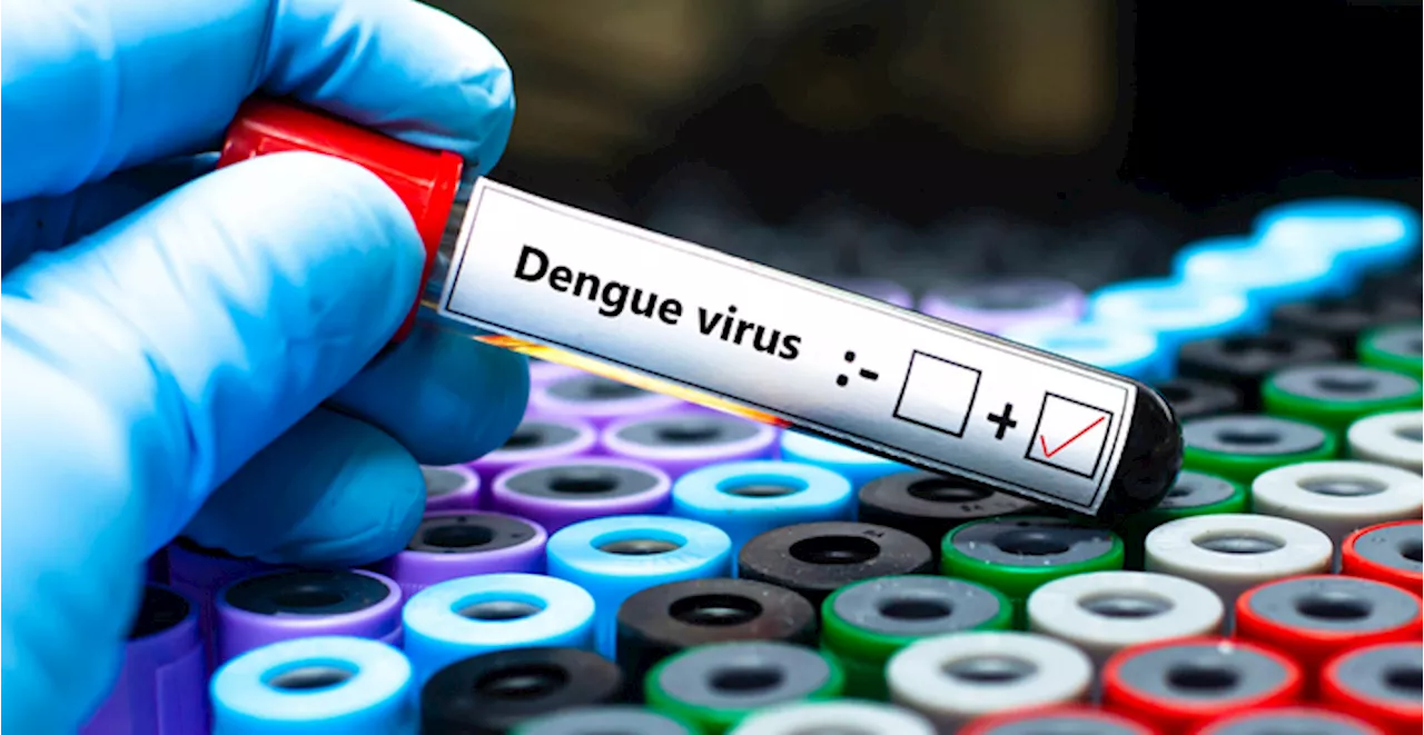 Oms, 'Il Sud America si prepari a un picco di influenza e dengue'