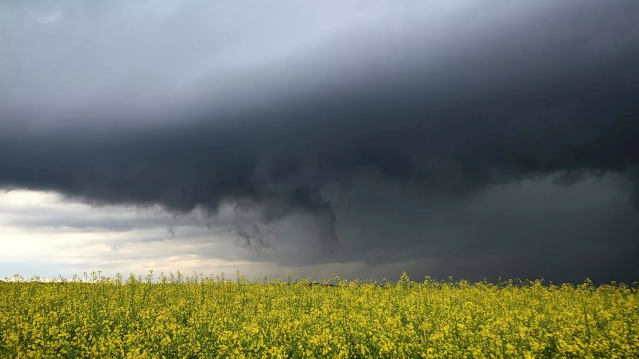 DWD warnt vor Starkregen und Gewitter