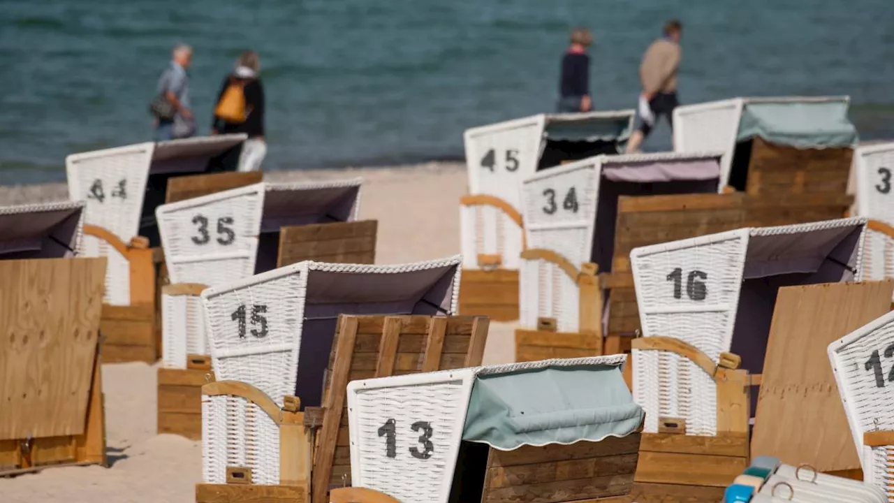 Forscher warnen vor giftigem Schwermetall in der Ostsee