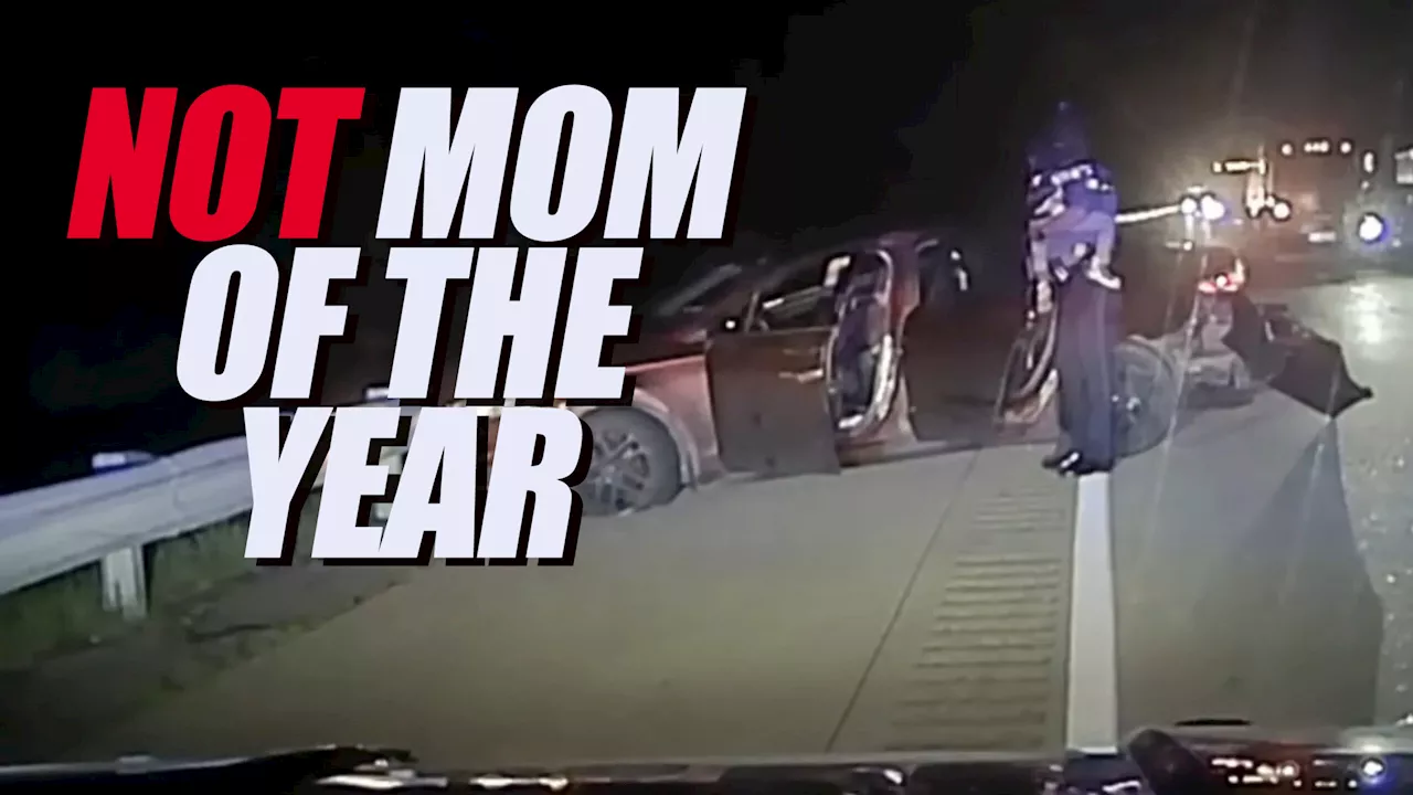 Police Pit Fleeing Mother At 106 MPH Only To Find Two Kids Inside Ford Fusion