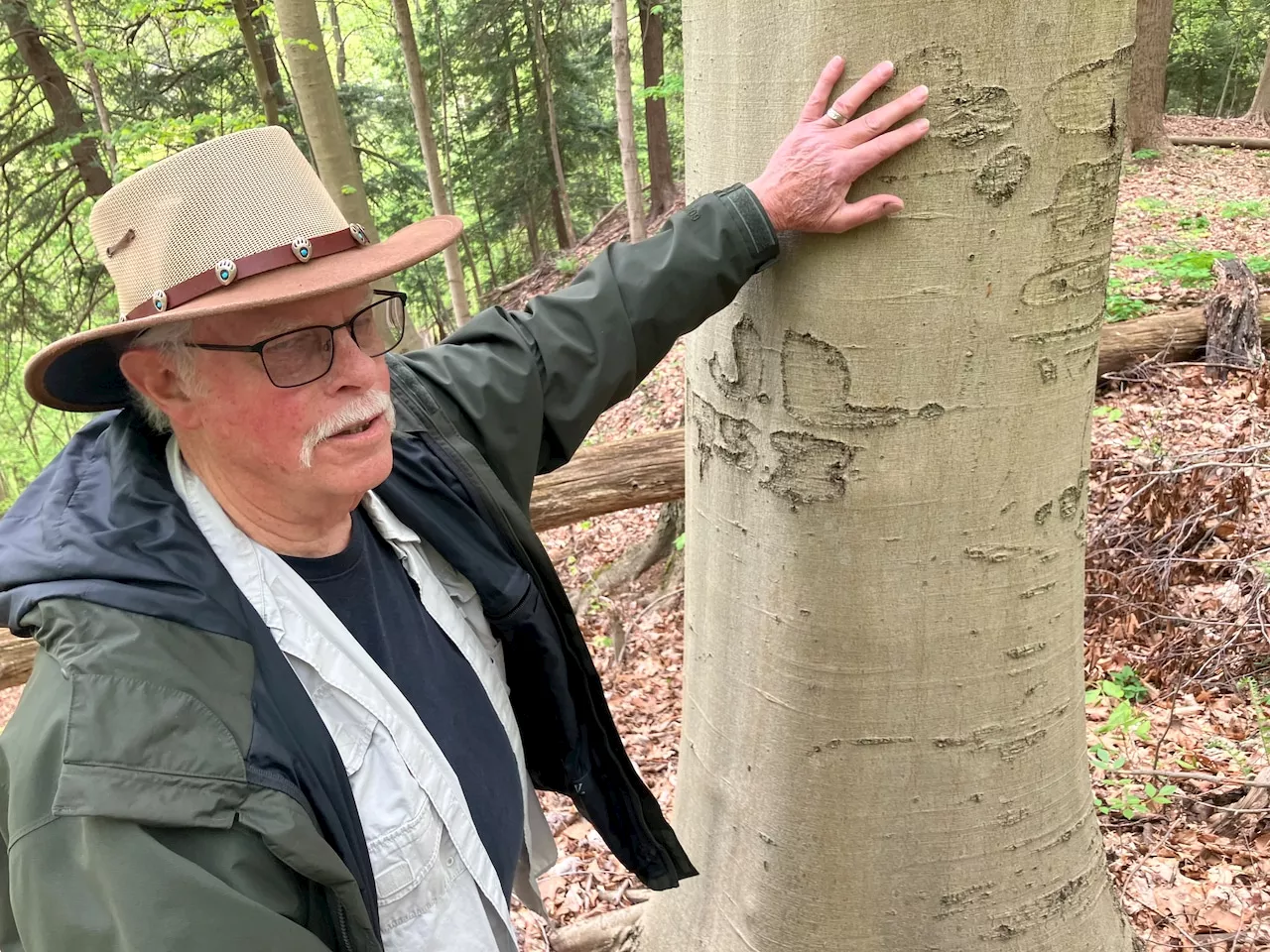 An old growth forest comes alive 20 miles from downtown Cleveland