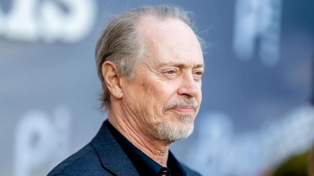 Steve Buscemi punched in the face while walking in NYC