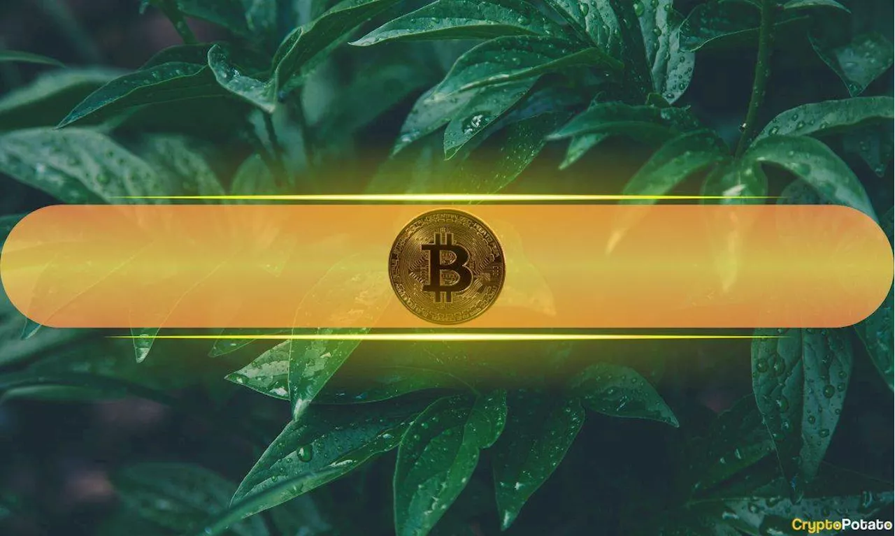 Historical Data Shows Bitcoin Price Could Rebound Soon If This Happens: CryptoQuant