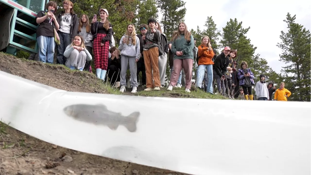 Provincial program teaches Grade 8 students about aquatic life in Alberta