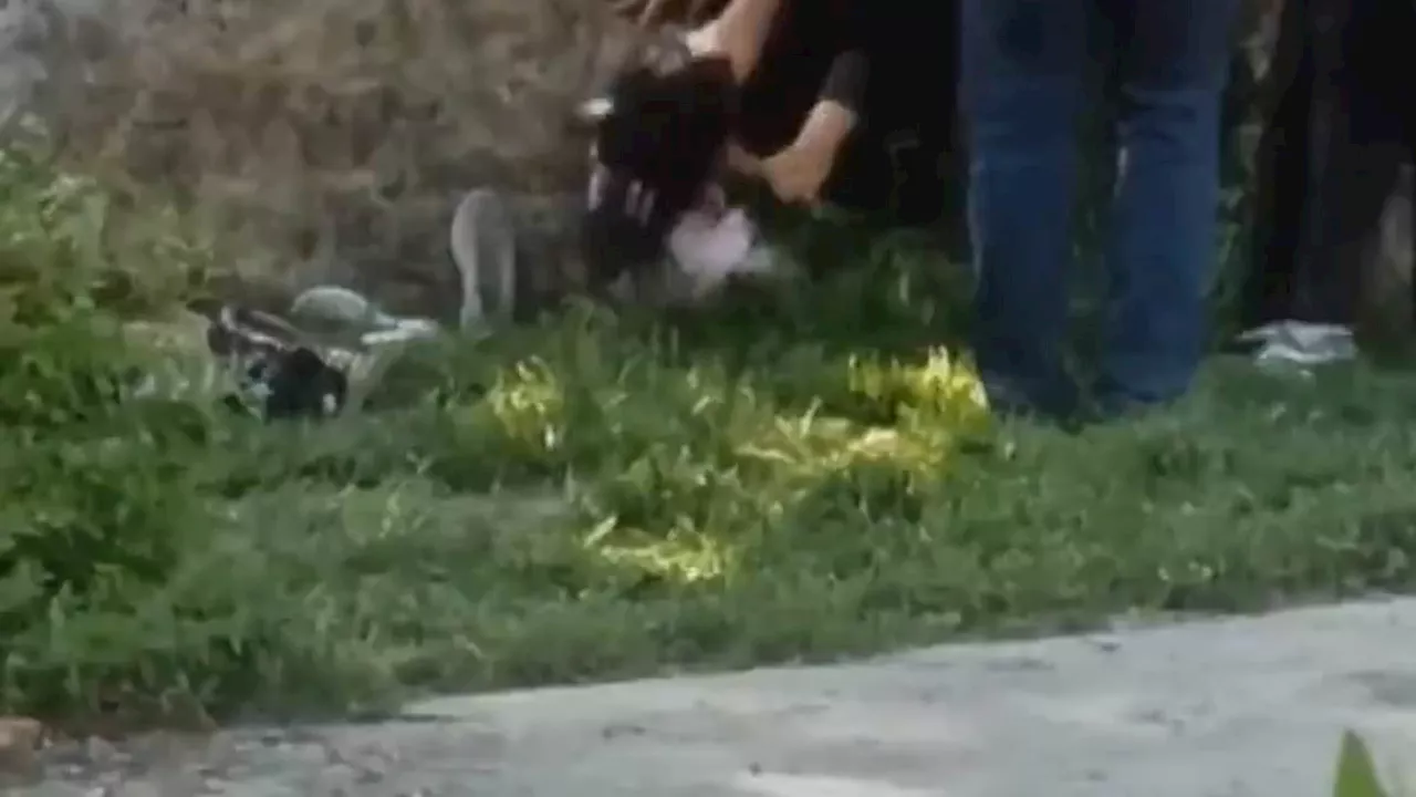 Shocking moment female 'morality police' officer attacks screaming teenager and forces her to the...