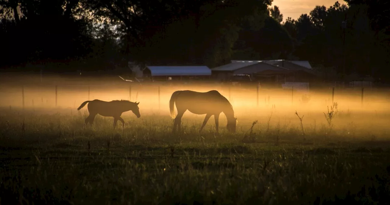 Isolated evening storms; warm Tuesday with more storms