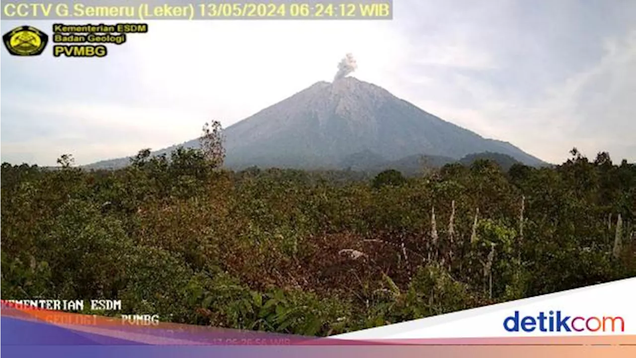 Gunung Semeru Erupsi 5 Kali Pagi Ini, Ketinggian Letusan 500 Meter