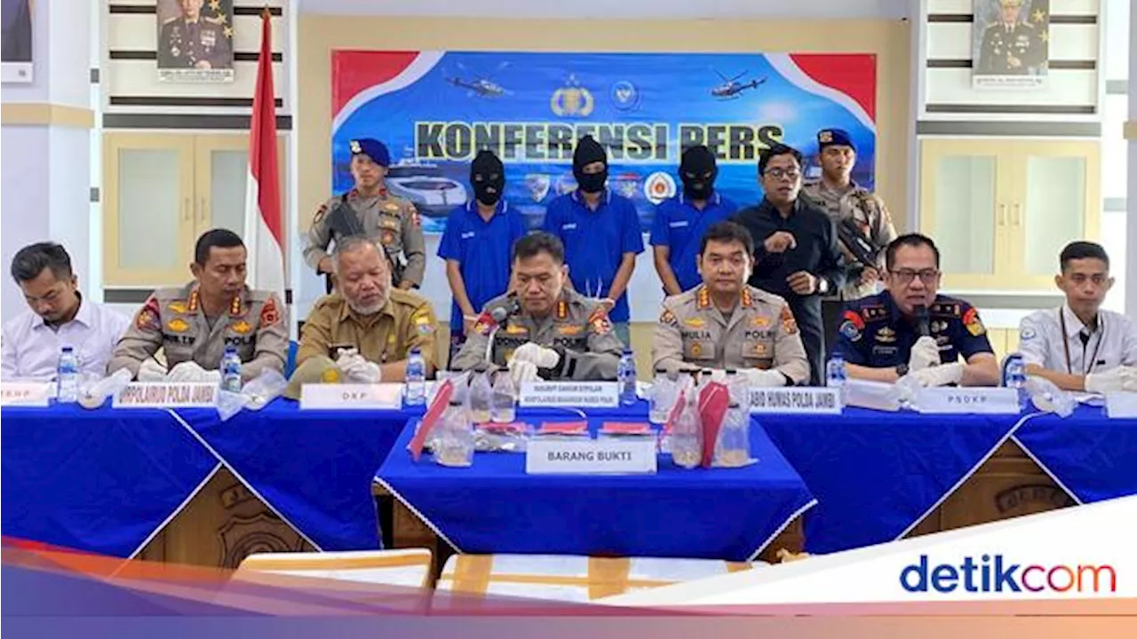 KKP-Polri Gagalkan Penyelundupan 125 Ribu Benih Bening Lobster di Jambi