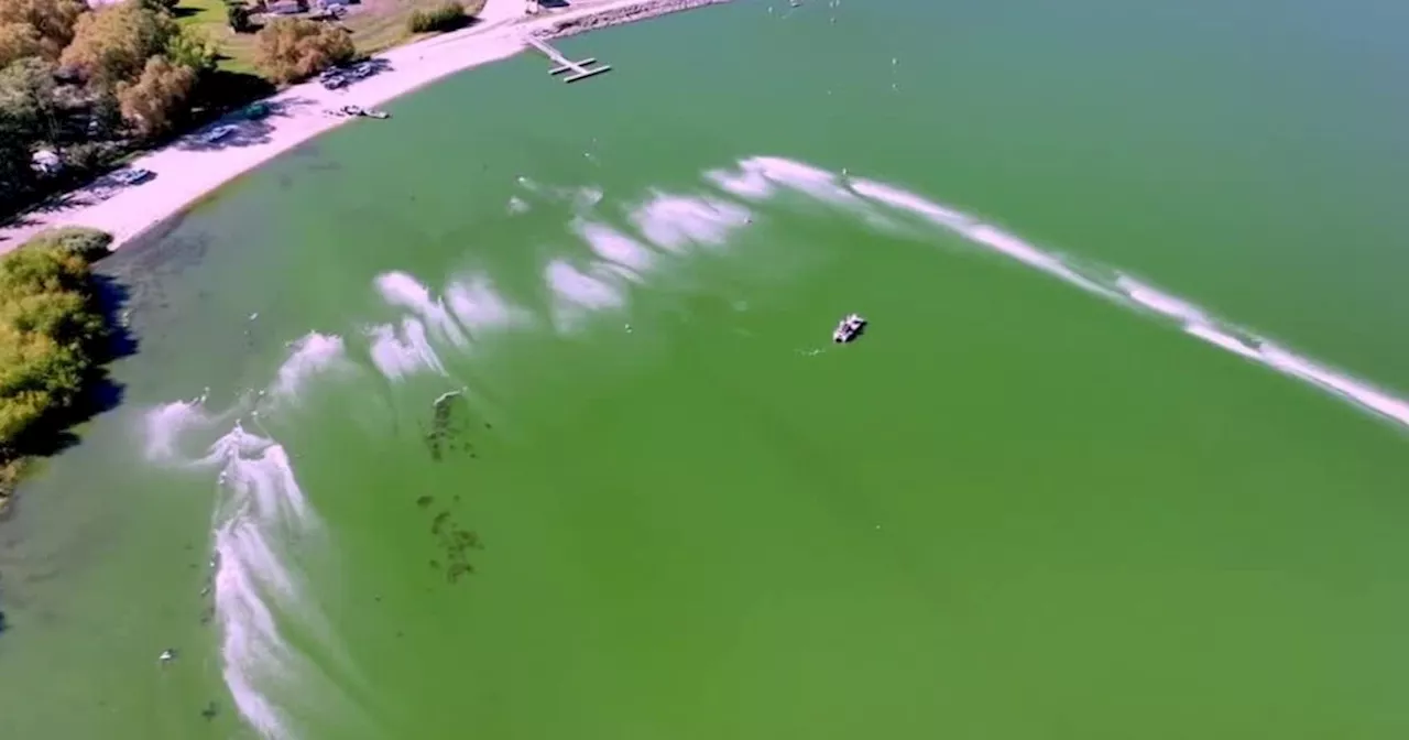 Company finds way to remove harmful algal blooms from Utah reservoir