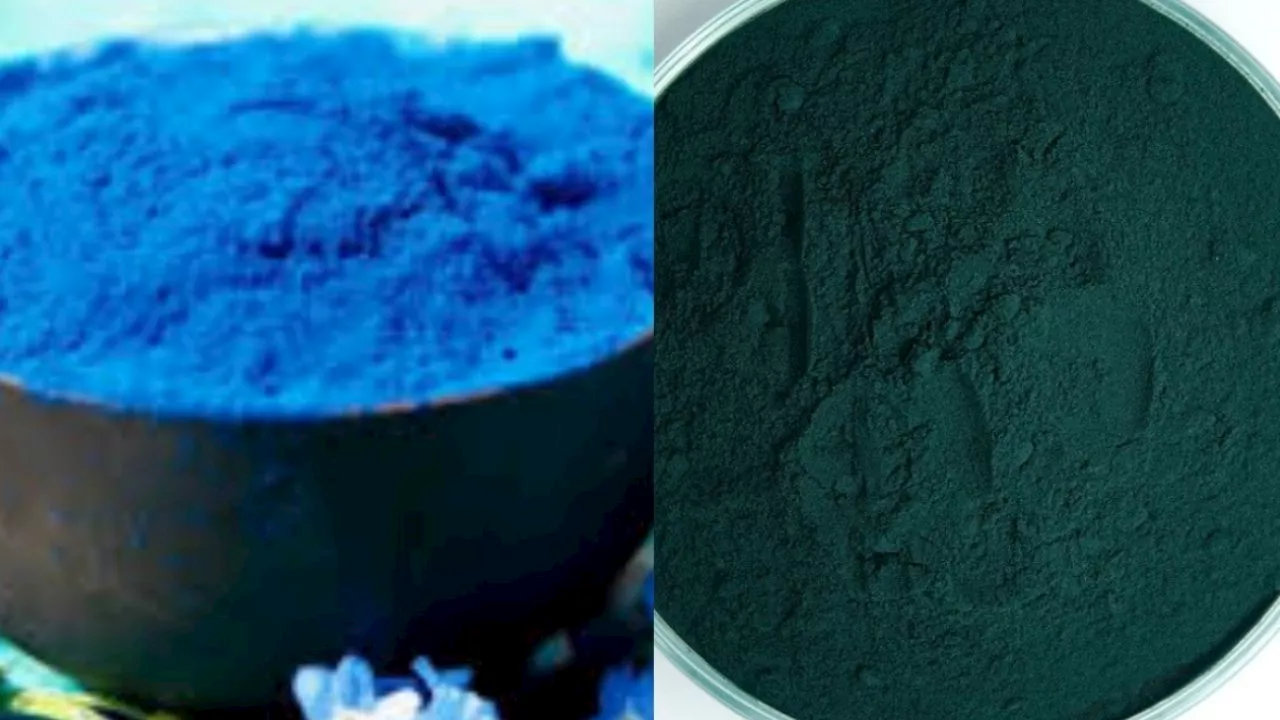 Diferencias entre el oro azul y la espirulina verde: ¿cuál es mejor para el cuerpo?