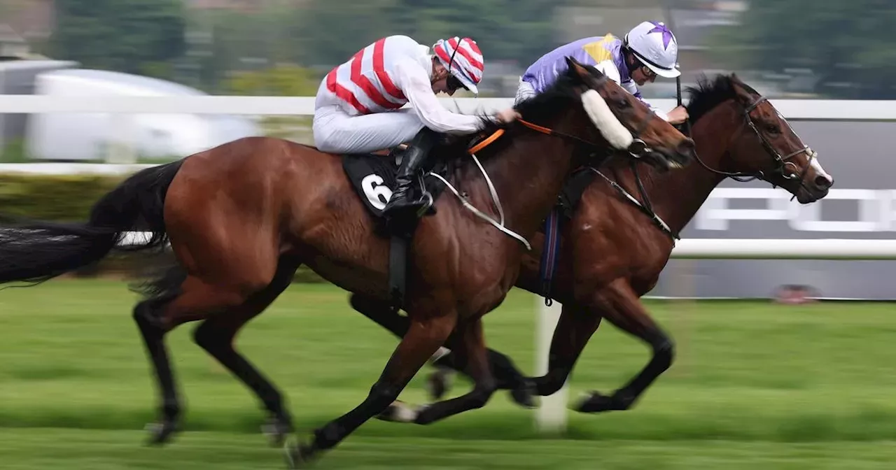 Jessica Harrington-trained horse allergic to grass set for Royal Ascot after win