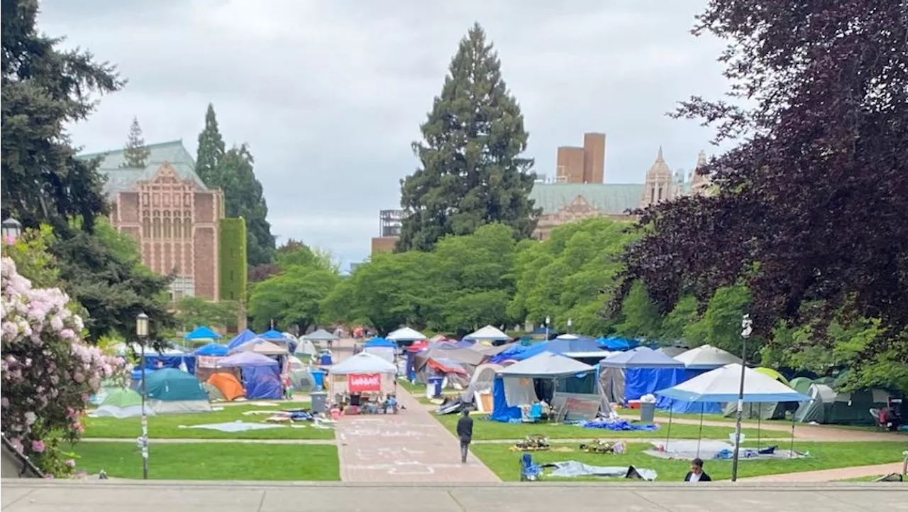 Pro-Palestinian UW encampment remains after counter-protest, despite university concerns