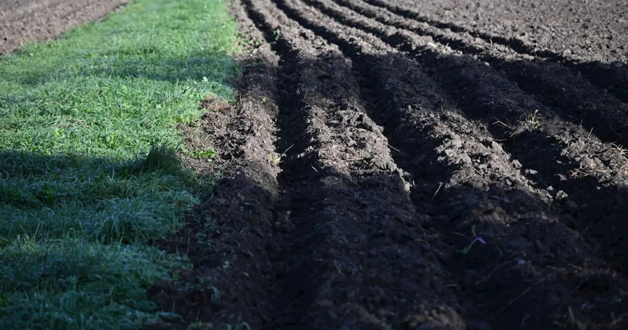 Burgenlands neue Regeln für die Wahl der Landwirtschaftskammer