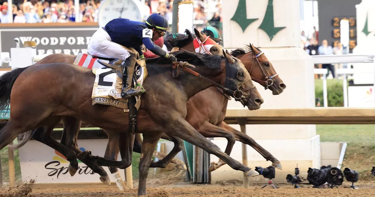 Preakness Stakes storylines: Will Mystik Dan be the next Triple Crown winner?