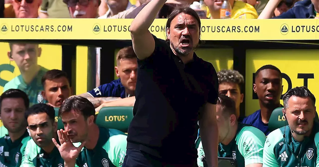 Daniel Farke took a Leeds United lucky charm with him to the Norwich City dugout