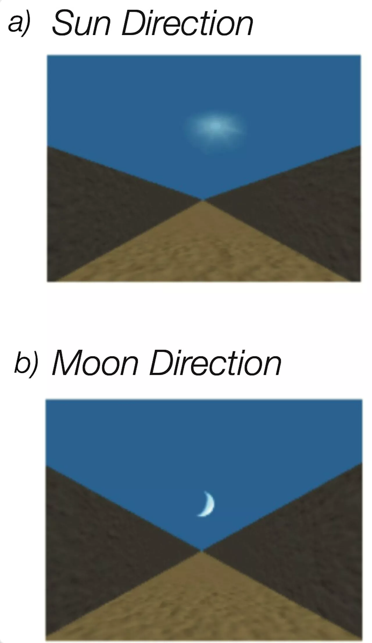 Evidence of a travel direction signal that is independent from head direction in humans