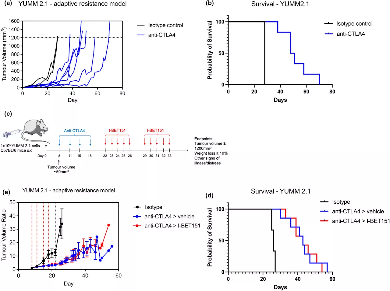 Researchers use dual drug strategy to advance melanoma treatment against resistance