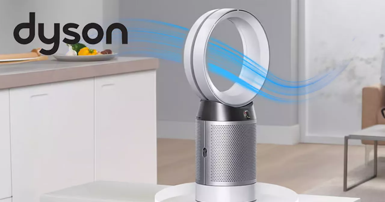 'I ditched Dyson and found a store selling £400 air purifying fans for £179'