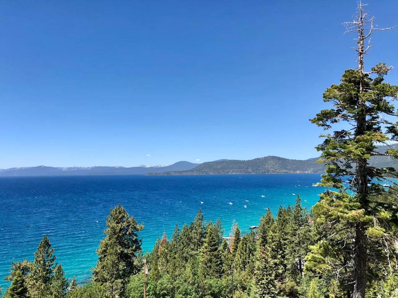 Head for South Lake Tahoe for beer, brunch and an irresistible laid back vibe