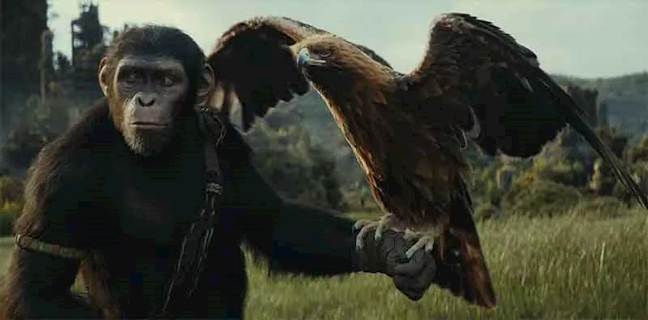 Apes conquer box office: ‘Kingdom’ swings to top spot