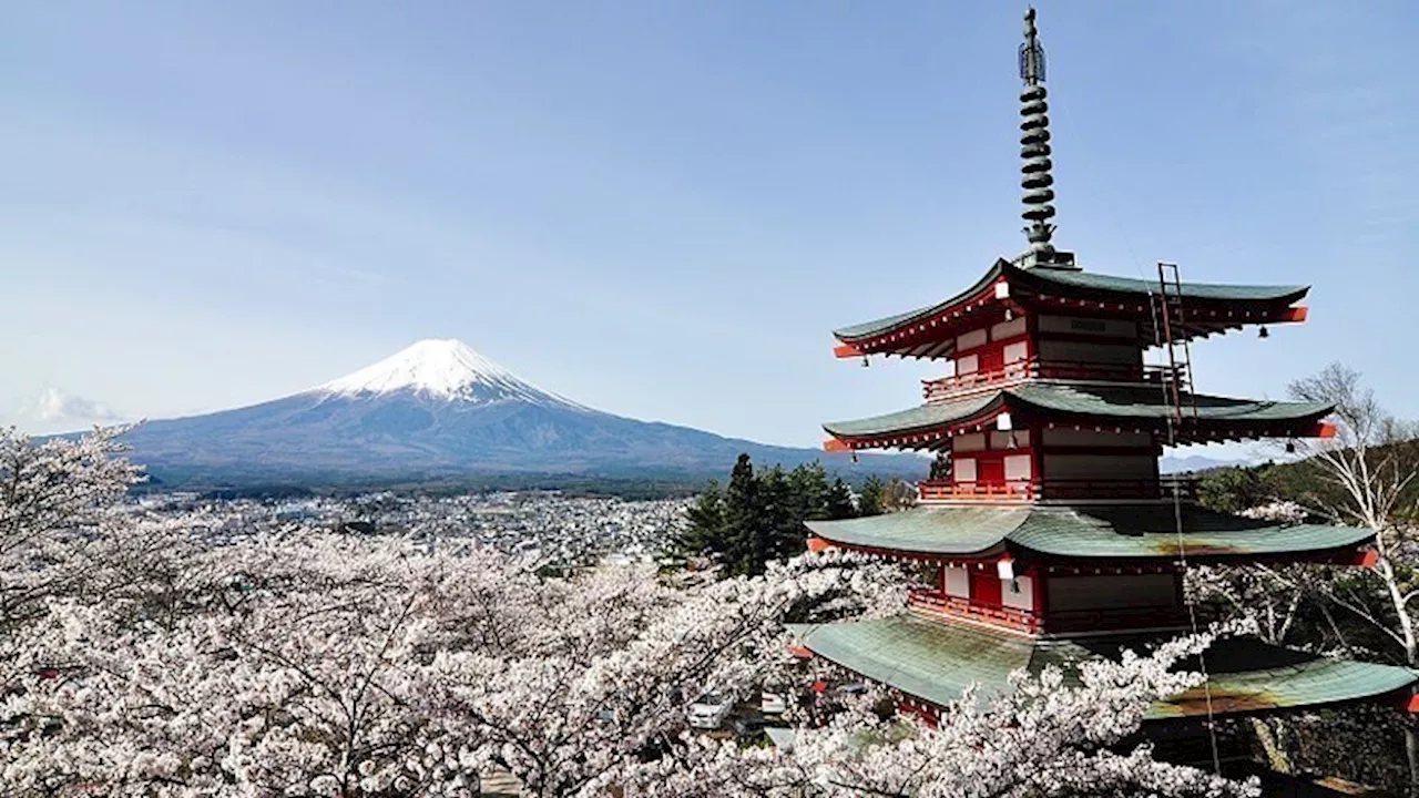 Japan to introduce online booking for Mount Fuji trail