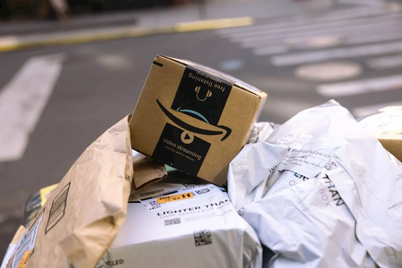 Amazon won’t eat Takealot’s lunch — analyst