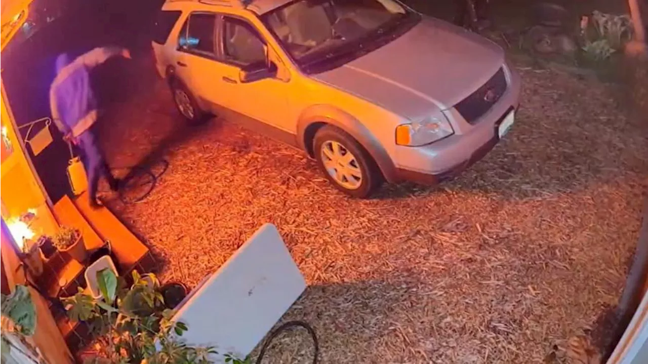 Have you seen this person? Video catches alleged arsonist set Shoreline home on fire