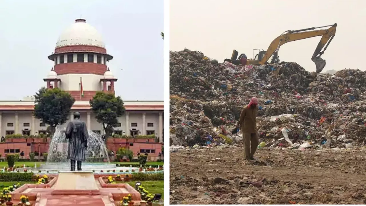 सॉलिड वेस्ट पर दिल्ली में नगर निगम क्यों करा रहा अपना 'कचरा', अब SC ने लगाई फटकार