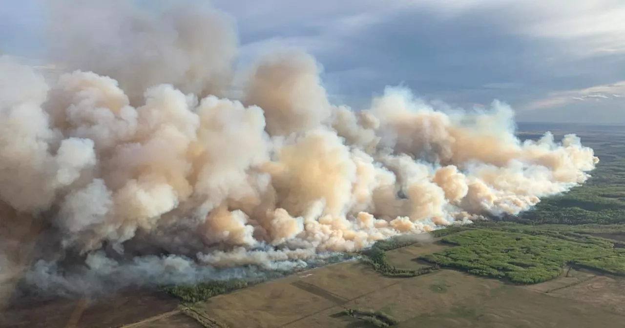 Canadian wildfires trigger air quality alerts in four U.S. states