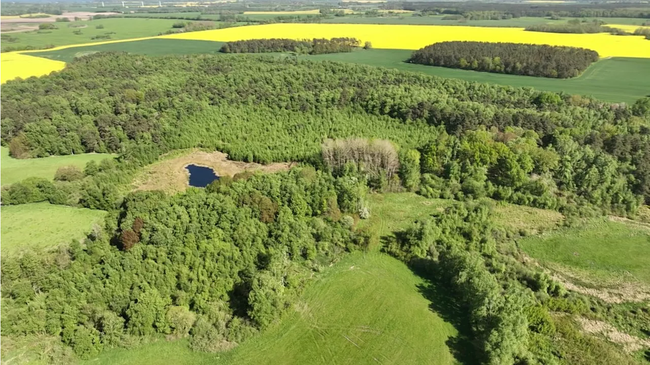 Großprojekt Klimaneutralität: Wiedervernässung im Mannshagener Moor